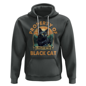 Black Cat Hoodie Property Of Black Cat TS02 Dark Heather Printyourwear