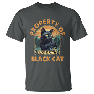 Black Cat T Shirt Property Of Black Cat TS02 Dark Heather Printyourwear