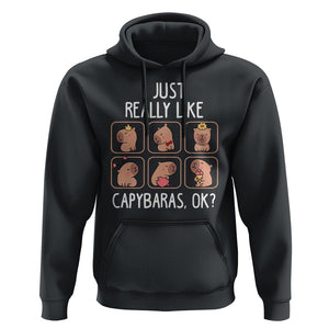 Capybara Lover Hoodie I Just Really Like Capybaras Cute Capy TS09 Black Print Your Wear