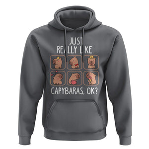 Capybara Lover Hoodie I Just Really Like Capybaras Cute Capy TS09 Charcoal Print Your Wear