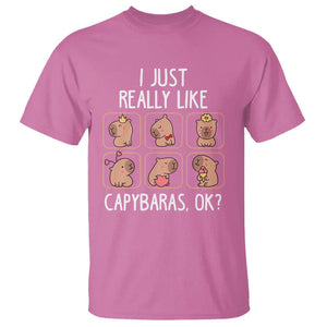 Capybara Lover T Shirt I Just Really Like Capybaras Cute Capy TS09 Azalea Print Your Wear