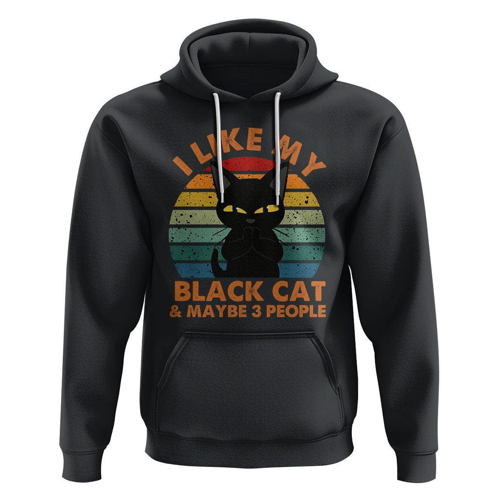 Cat Lover Hoodie I Like My Black Cat & Maybe 3 People TS02 Black Printyourwear