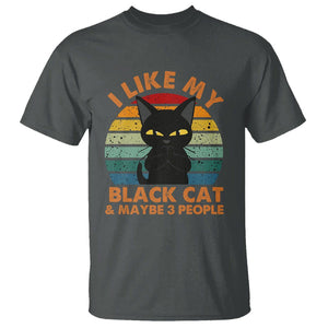 Cat Lover T Shirt I Like My Black Cat & Maybe 3 People TS02 Dark Heather Printyourwear