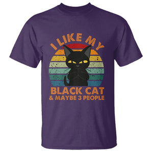 Cat Lover T Shirt I Like My Black Cat & Maybe 3 People TS02 Purple Printyourwear