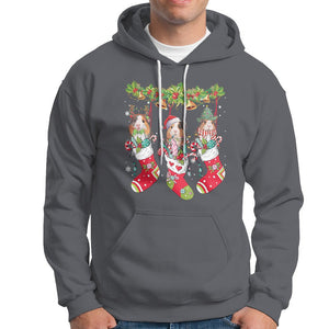 Christmas Hoodie Guinea Pig In Xmas Socks Cute Santa Hat TS09 Charcoal Printyourwear