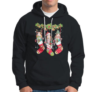 Christmas Hoodie Guinea Pig In Xmas Socks Cute Santa Hat TS09 Black Printyourwear