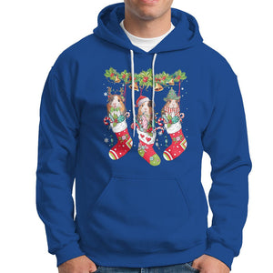 Christmas Hoodie Guinea Pig In Xmas Socks Cute Santa Hat TS09 Royal Blue Printyourwear