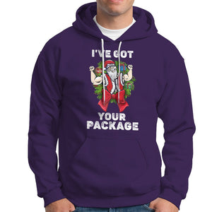 Christmas Hoodie I've Got Your Package Ugly Santa Gymer Gift TS09 Purple Printyourwear