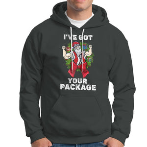 Christmas Hoodie I've Got Your Package Ugly Santa Gymer Gift TS09 Dark Heather Printyourwear