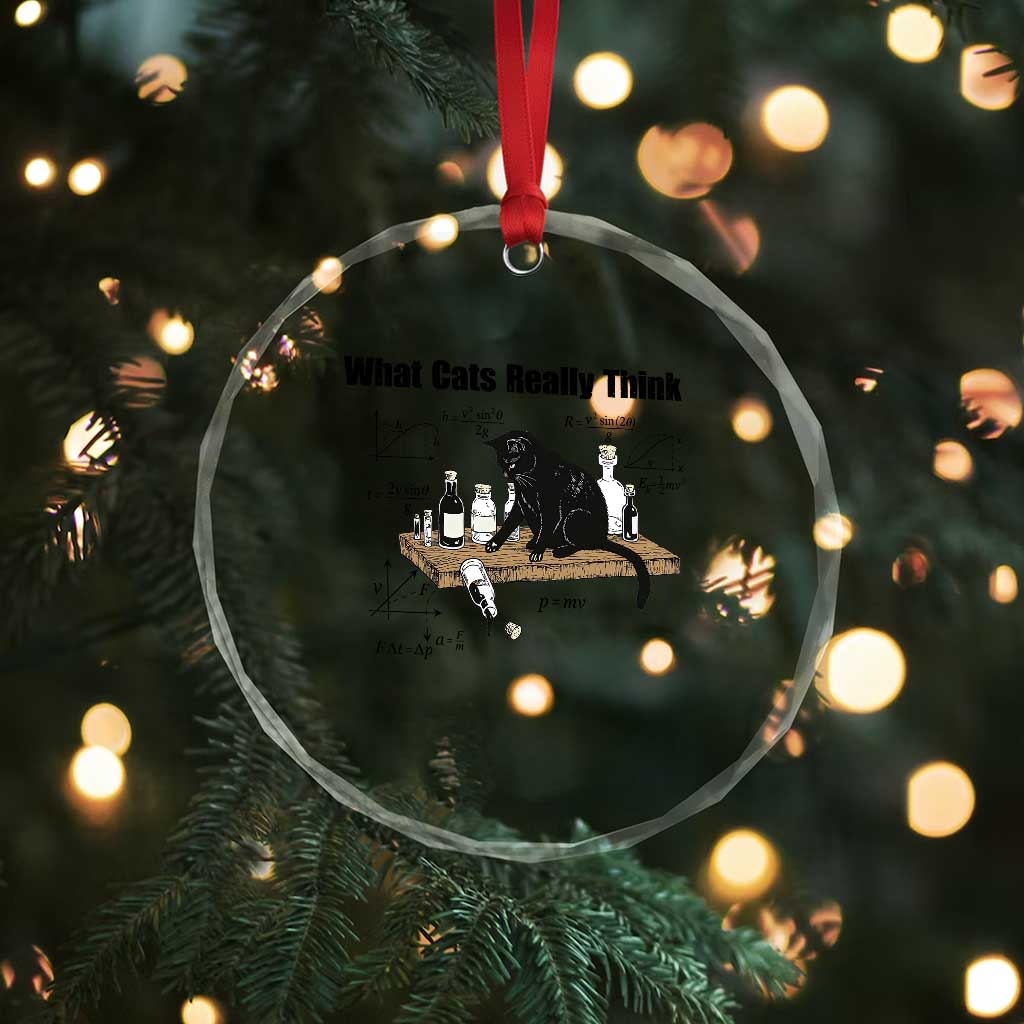 Funny Physics Cat Meme Crystal Glass Ornament What Cats Really Think TS12 Print Your Wear
