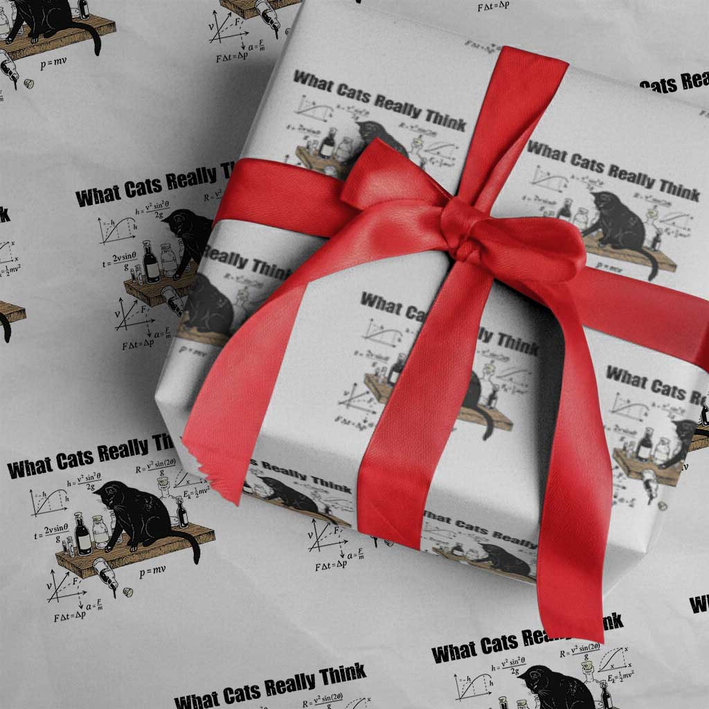 Funny Physics Cat Meme Wrapping Paper Roll What Cats Really Think TS12 White Print Your Wear