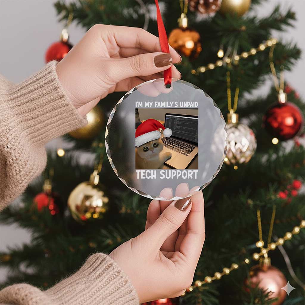 Funny Tech Support Cat Christmas Crystal Glass Ornament TS14 Print Your Wear