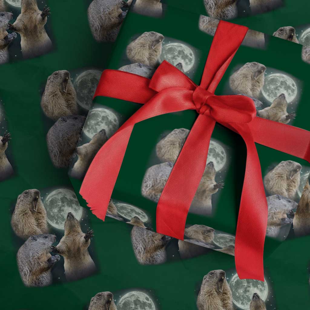 Funny Three Groundhog Moon Groundhog Day Meme Wrapping Paper Roll TS11 Green Print Your Wear