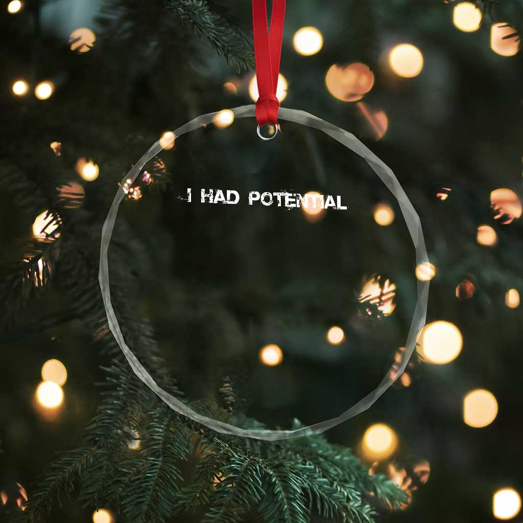 I Had Potential Crystal Glass Ornament Physics Sci Fi Joke TS11 Print Your Wear
