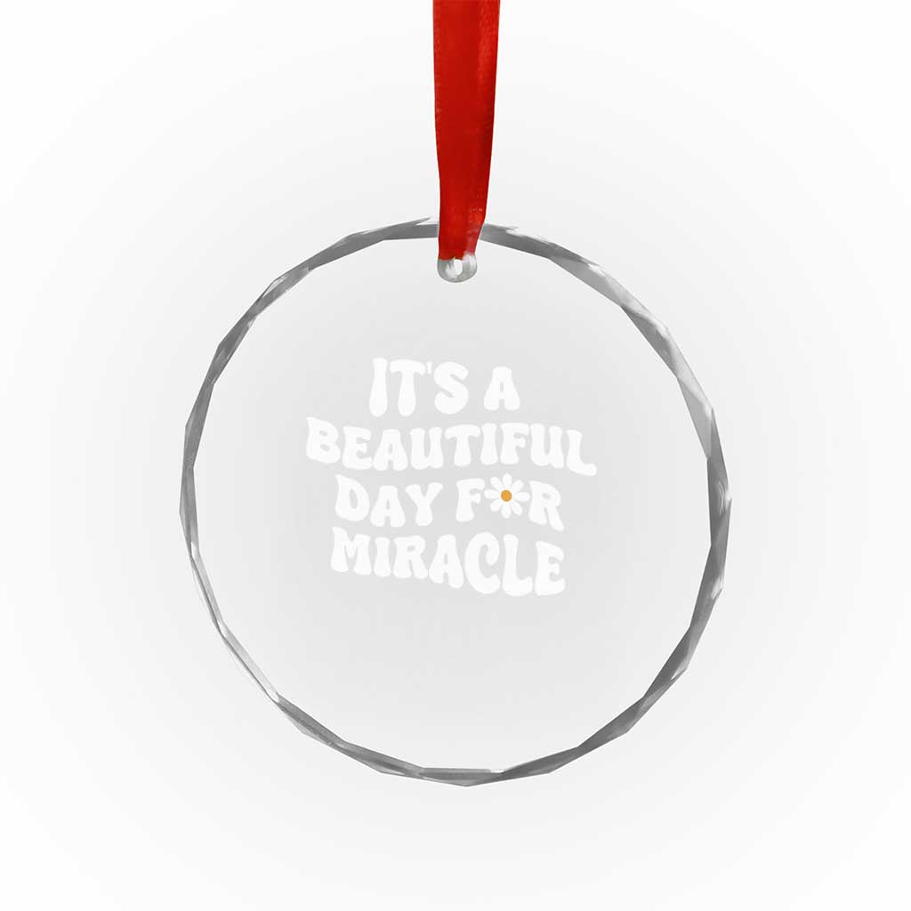 IVF Miracle Crystal Glass Ornament Transfer Day Infertility Support Gift TS10 Print Your Wear