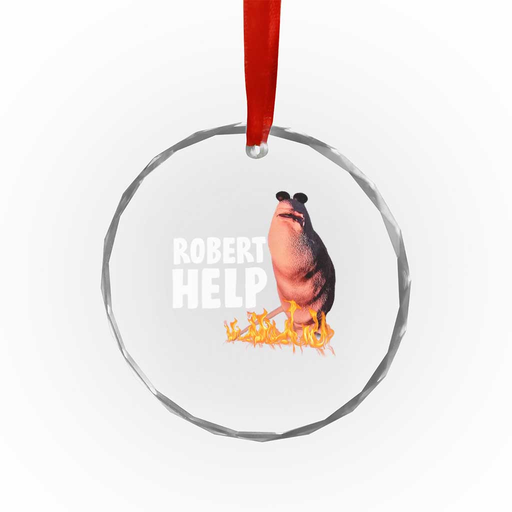Marcus The Worm Crystal Glass Ornament Funny Brainrot Meme Robert Help TS10 Print Your Wear