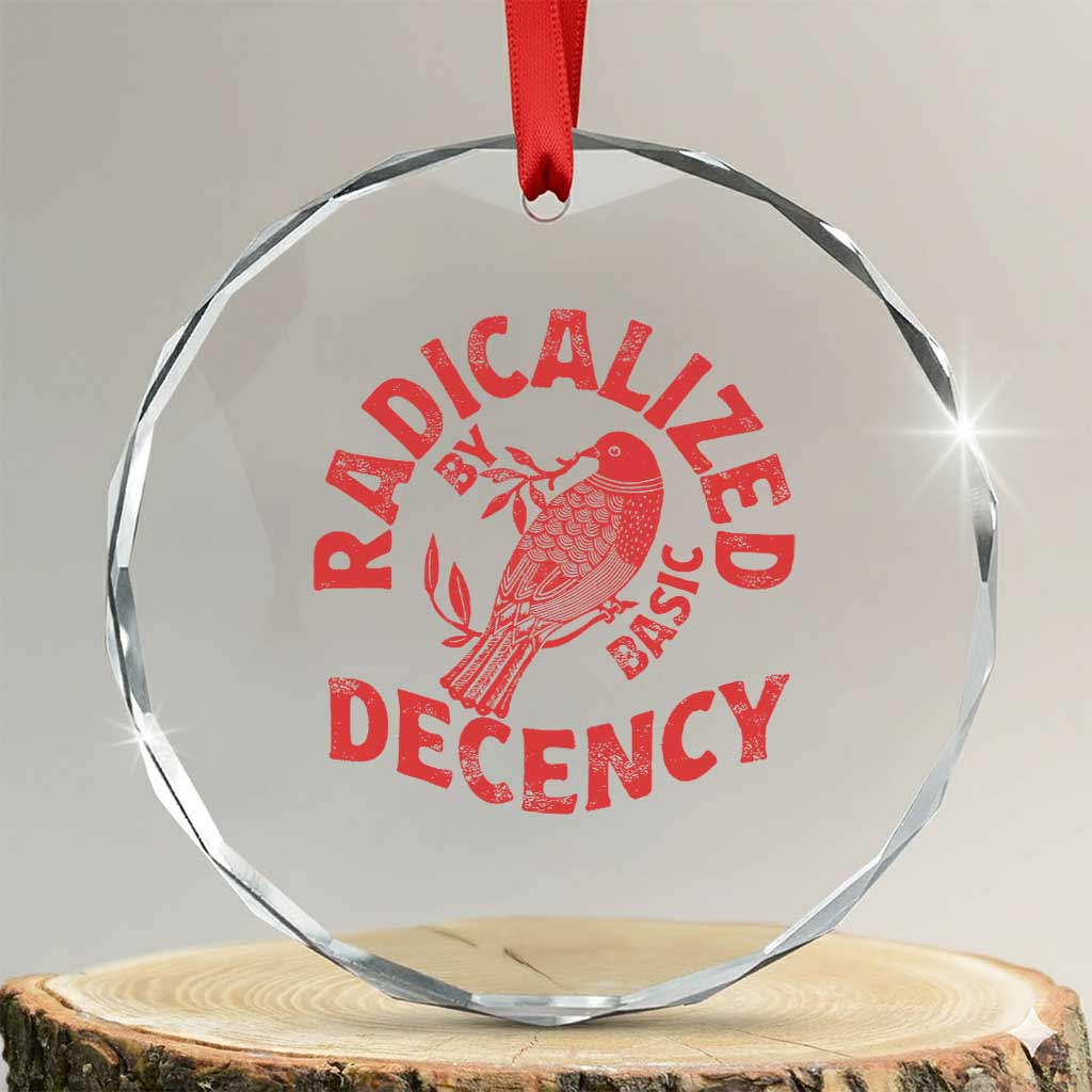 Radicalized By Basic Decency Crystal Glass Ornament Feminist Activist TS11 Transparent Glass 3'' Circle Print Your Wear