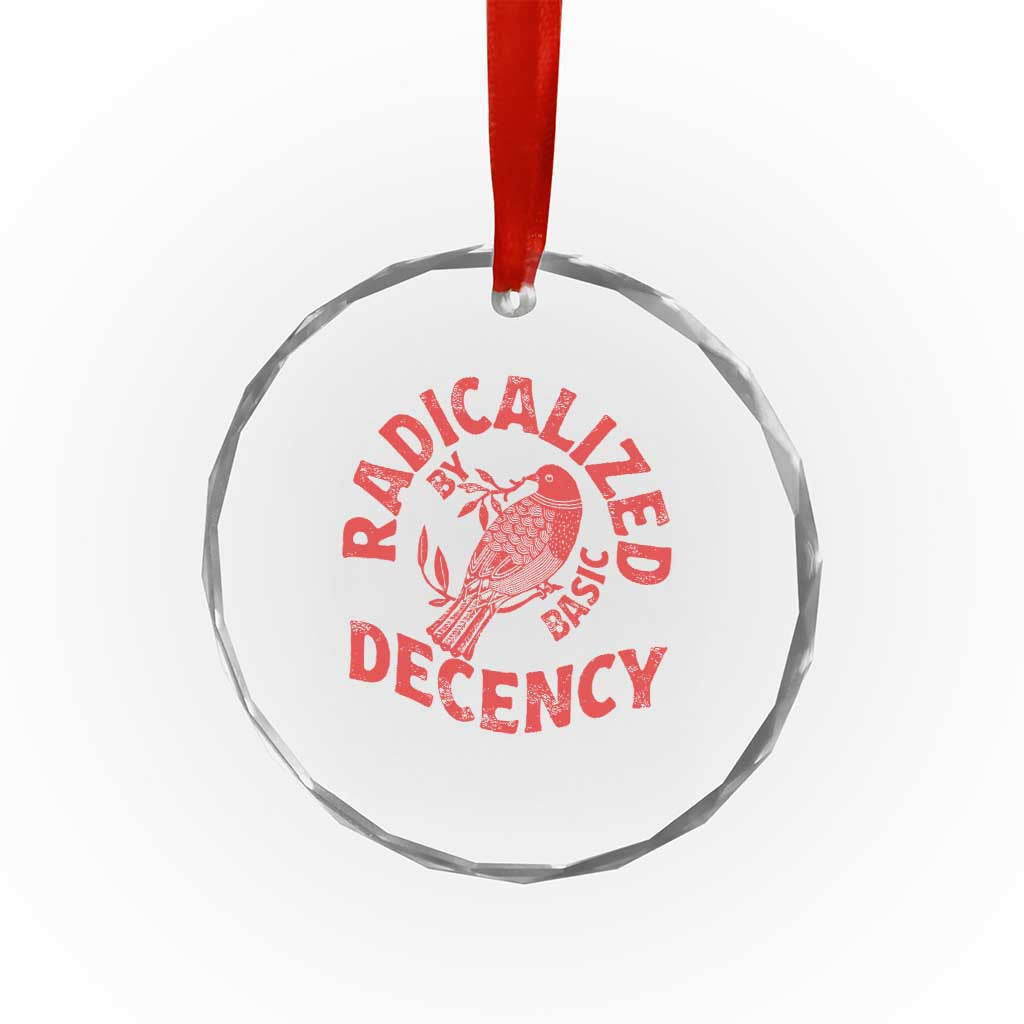 Radicalized By Basic Decency Crystal Glass Ornament Feminist Activist TS11 Print Your Wear