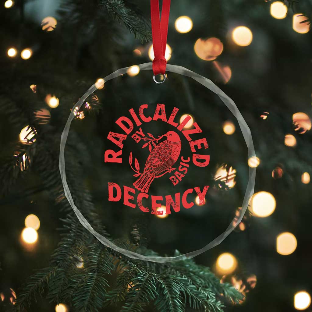 Radicalized By Basic Decency Crystal Glass Ornament Feminist Activist TS11 Print Your Wear