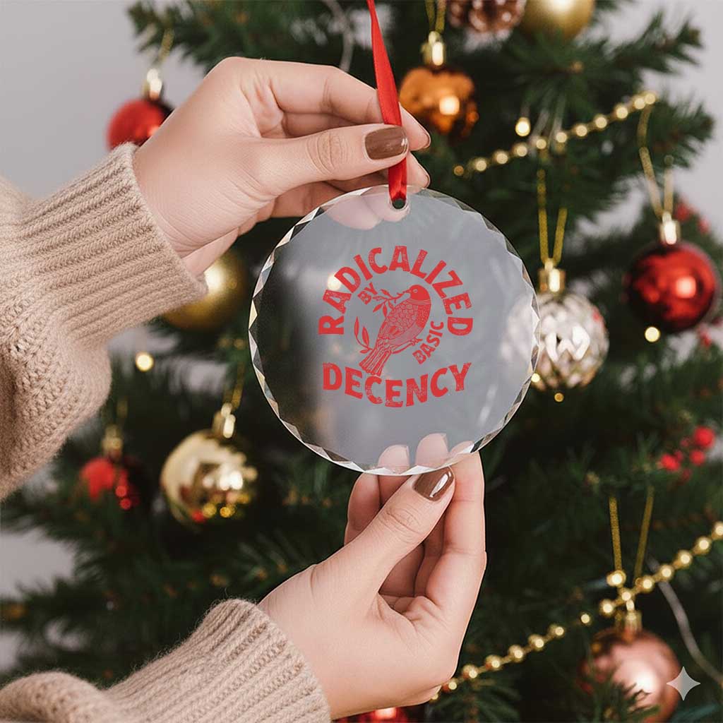 Radicalized By Basic Decency Crystal Glass Ornament Feminist Activist TS11 Print Your Wear