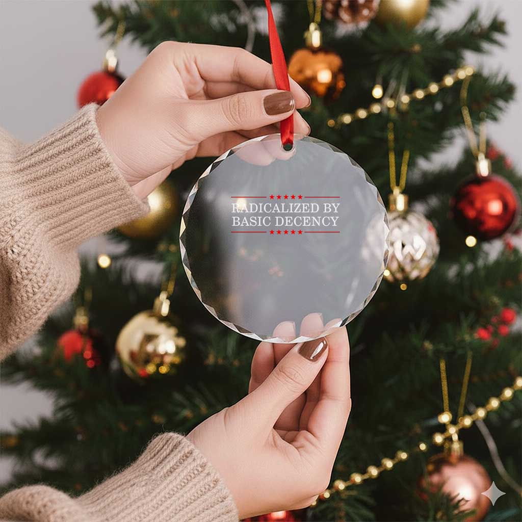 Radicalized By Basic Decency Crystal Glass Ornament Feminist Activist Protest TS10 Print Your Wear