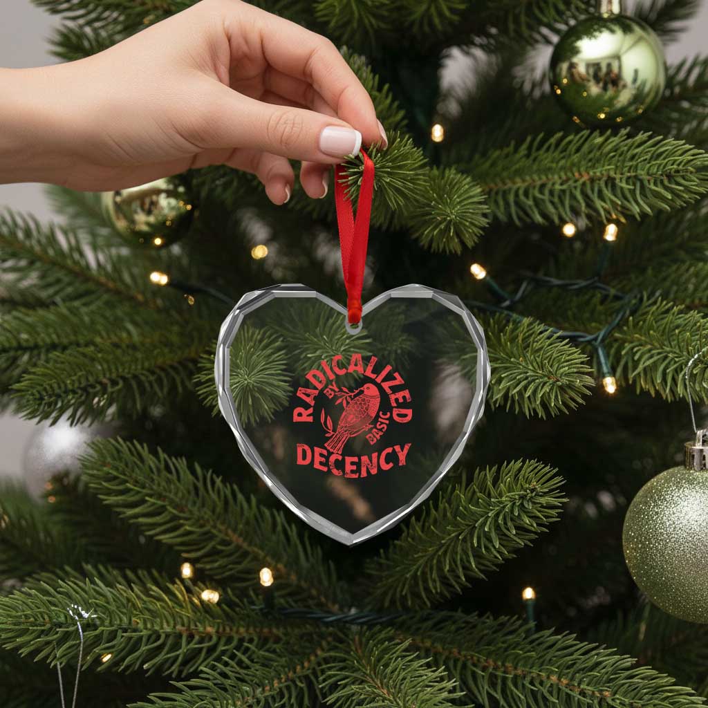 Radicalized By Basic Decency Heart Crystal Glass Ornament Feminist Activist TS11 Print Your Wear