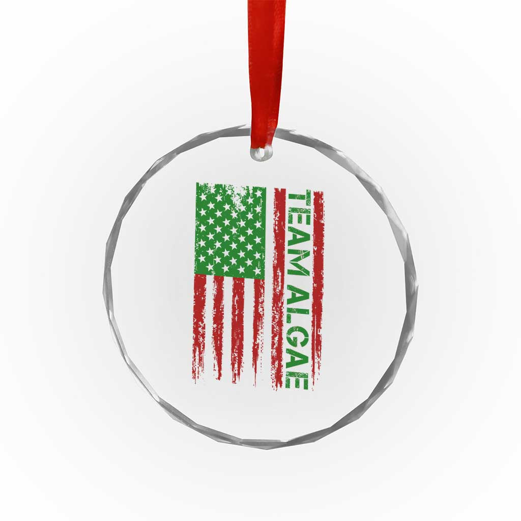 Team Algae Crystal Glass Ornament Funny Make Algae Great Again American Flag Political Meme TS14 Print Your Wear