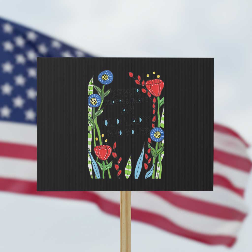 Never Underestimate an Old Lady Who Votes Protest Sign Feminist Gift for Women TS01 Horizontal 18