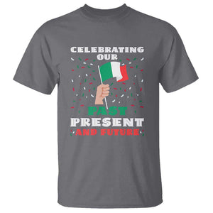 Celebrate Mexican Independence Day T Shirt Mexico Flag Tee for Proud Mexicans TS01 Charcoal Print Your Wear