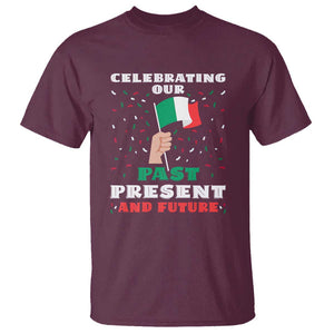 Celebrate Mexican Independence Day T Shirt Mexico Flag Tee for Proud Mexicans TS01 Maroon Print Your Wear