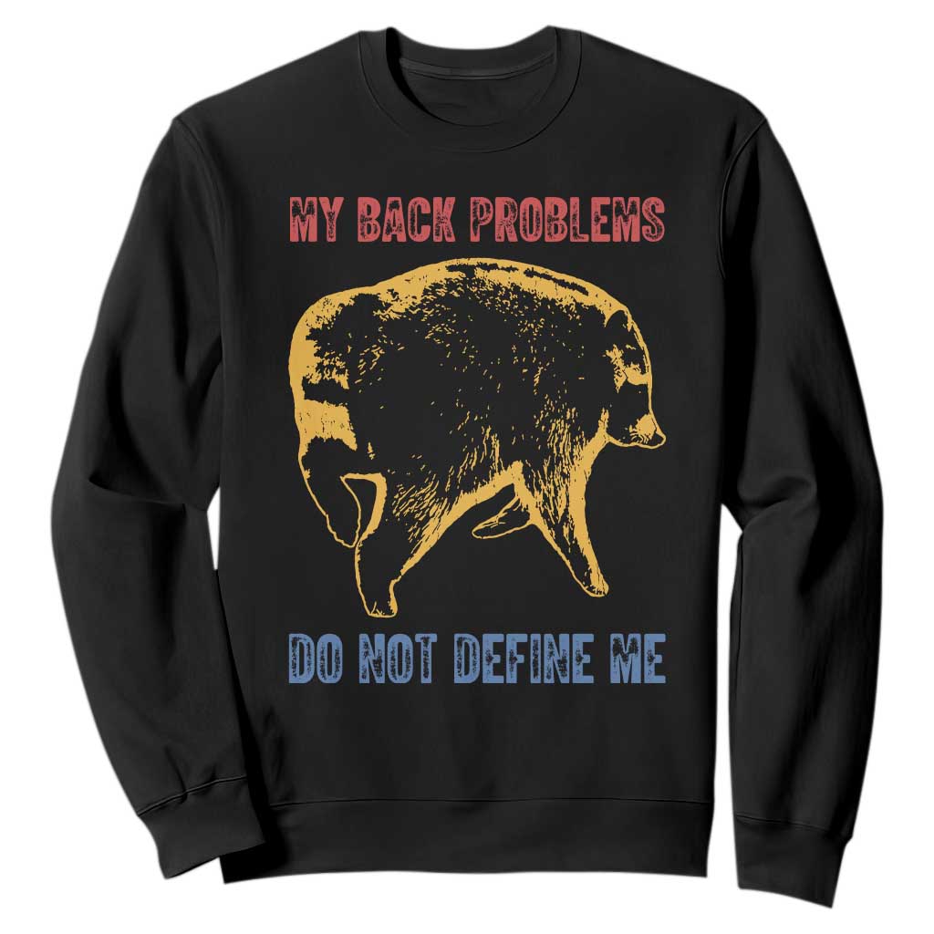 Funny Jimothy Meme Back Pain Humor Sweatshirt My Back Problems Do Not Define Me Viral Seattle Raccoon TS02 Black Print Your Wear