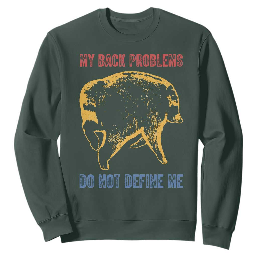 Funny Jimothy Meme Back Pain Humor Sweatshirt My Back Problems Do Not Define Me Viral Seattle Raccoon TS02 Dark Forest Green Print Your Wear