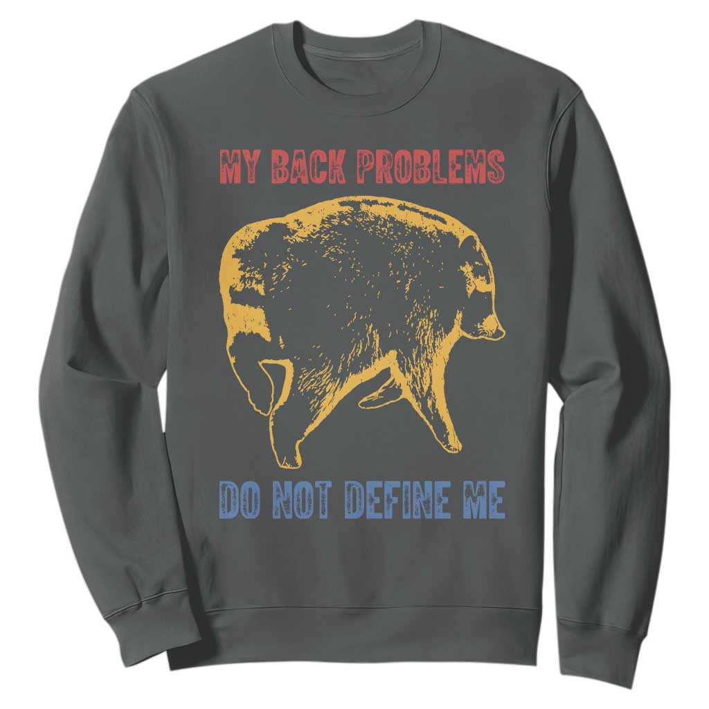 Funny Jimothy Meme Back Pain Humor Sweatshirt My Back Problems Do Not Define Me Viral Seattle Raccoon TS02 Dark Heather Print Your Wear