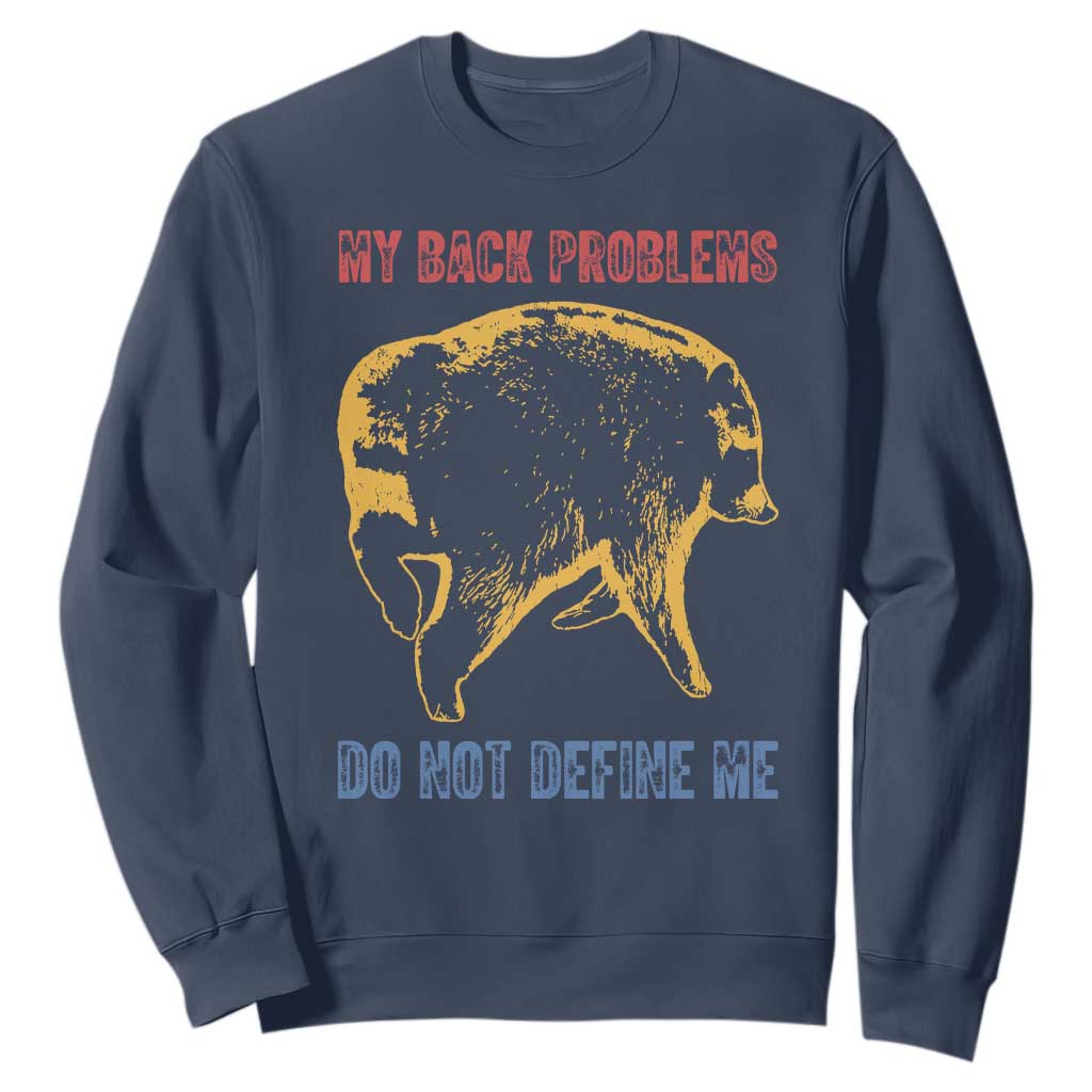 Funny Jimothy Meme Back Pain Humor Sweatshirt My Back Problems Do Not Define Me Viral Seattle Raccoon TS02 Navy Print Your Wear