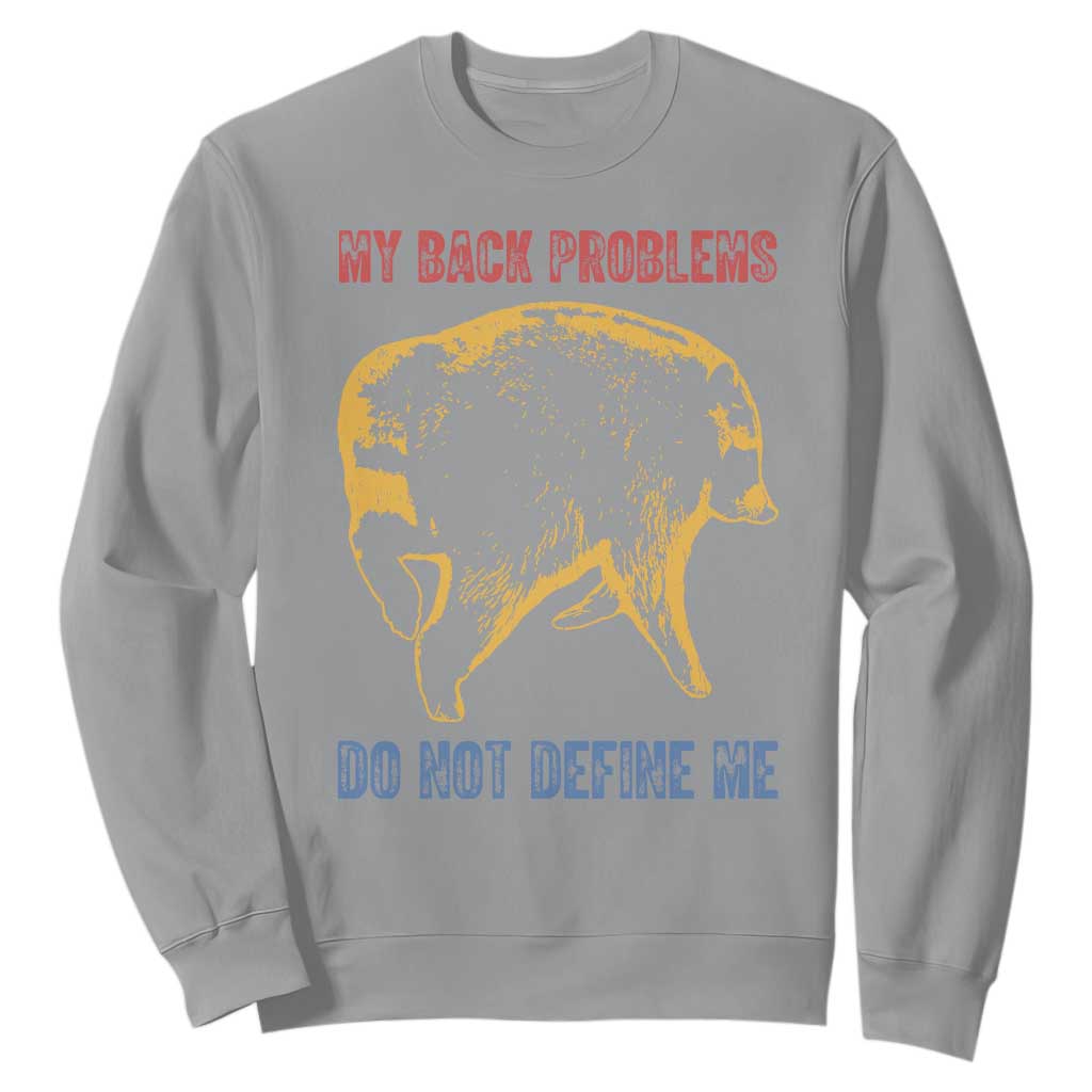 Funny Jimothy Meme Back Pain Humor Sweatshirt My Back Problems Do Not Define Me Viral Seattle Raccoon TS02 Sport Gray Print Your Wear
