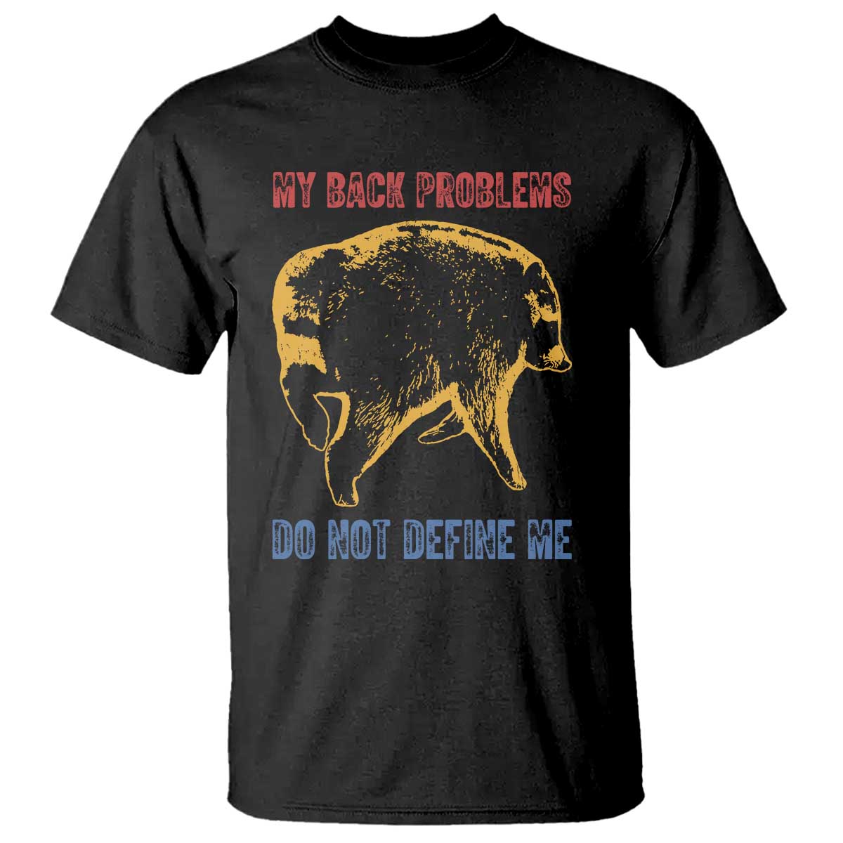 Funny Jimothy Meme Back Pain Humor T Shirt My Back Problems Do Not Define Me Viral Seattle Raccoon TS02 Black Print Your Wear