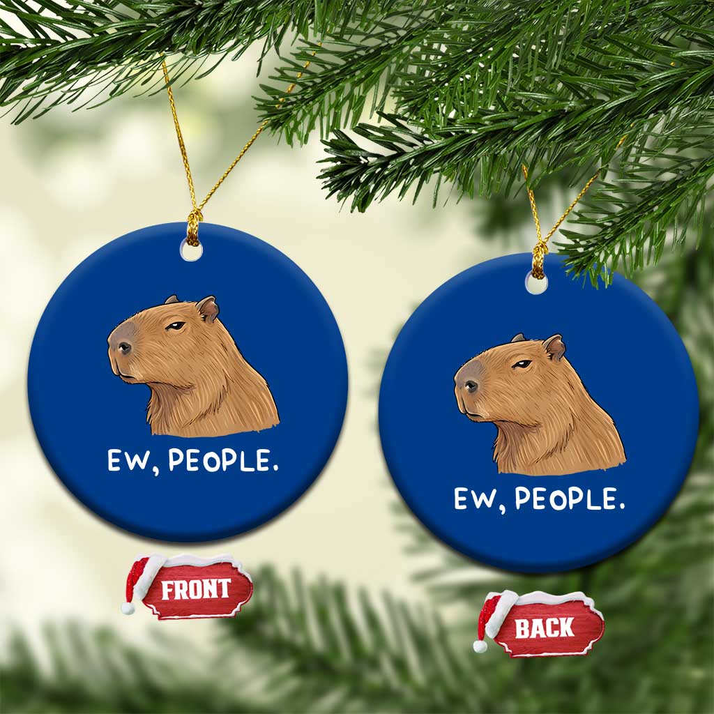Anti Social Capybara Meme Ceramic Ornament Ew People Sarcastic Funny Introvert Gift TS02 1pc Blue Print Your Wear