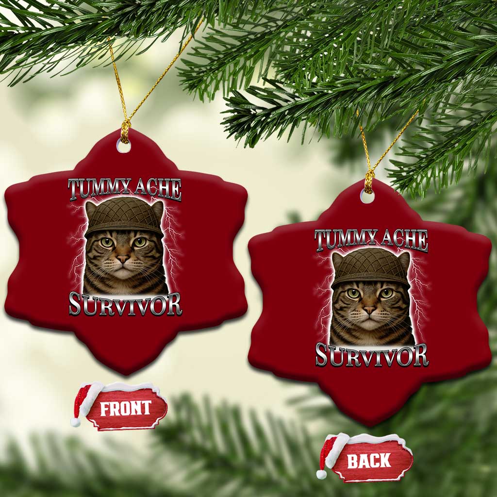 Funny Cat Meme Humor Ceramic Ornament Tummy Ache Survivor Lightning Cats Parody TS02 Print Your Wear