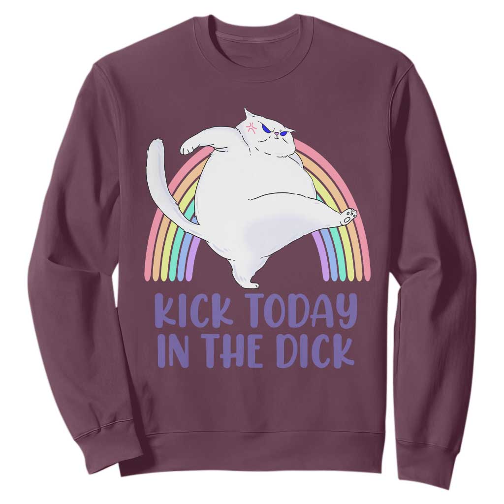 Funny Sarcastic Cat Sweatshirt Kick Today In The Dick Pastel Rainbow TS02 Maroon Print Your Wear