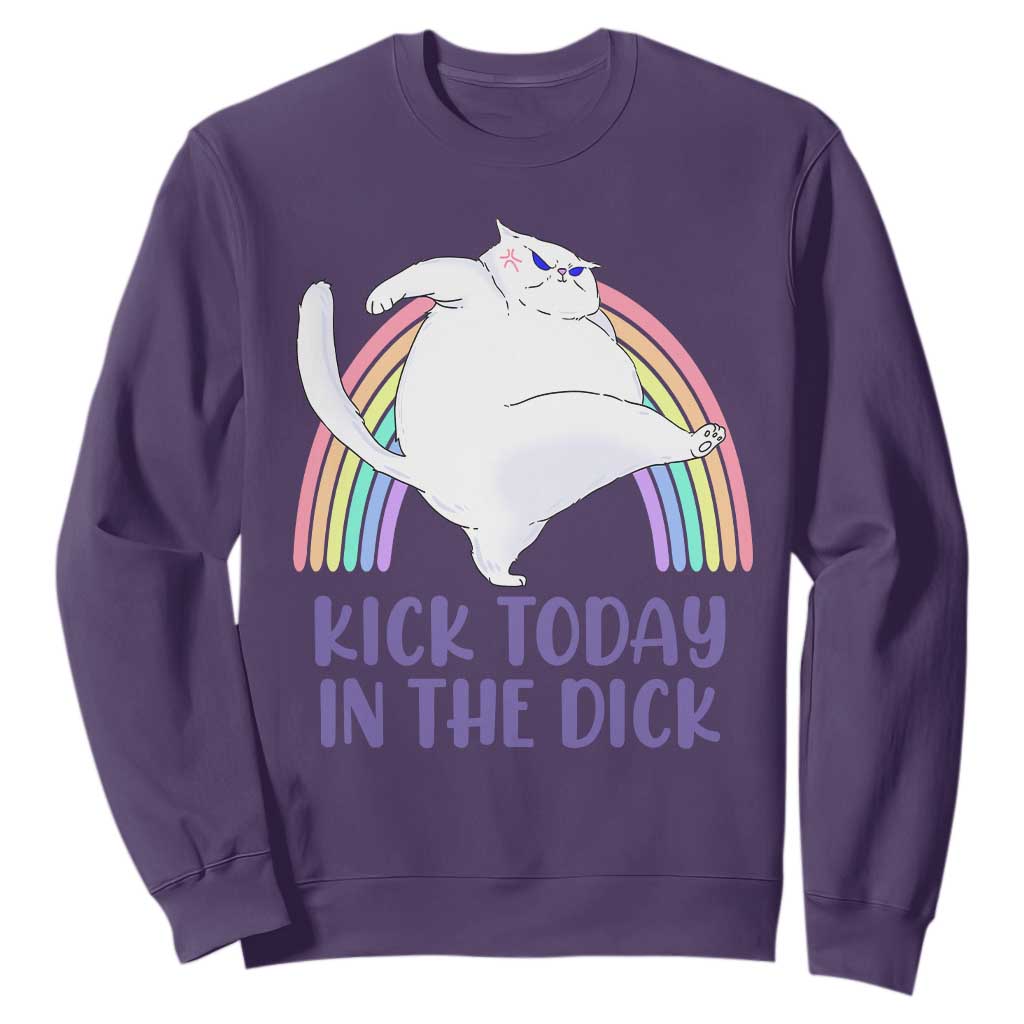 Funny Sarcastic Cat Sweatshirt Kick Today In The Dick Pastel Rainbow TS02 Purple Print Your Wear
