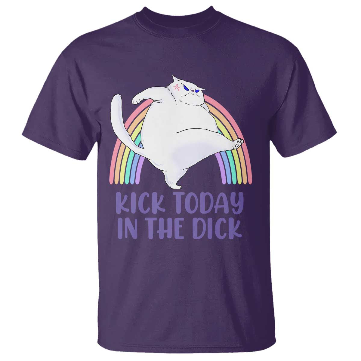Funny Sarcastic Cat T Shirt Kick Today In The Dick Pastel Rainbow TS02 Purple Print Your Wear