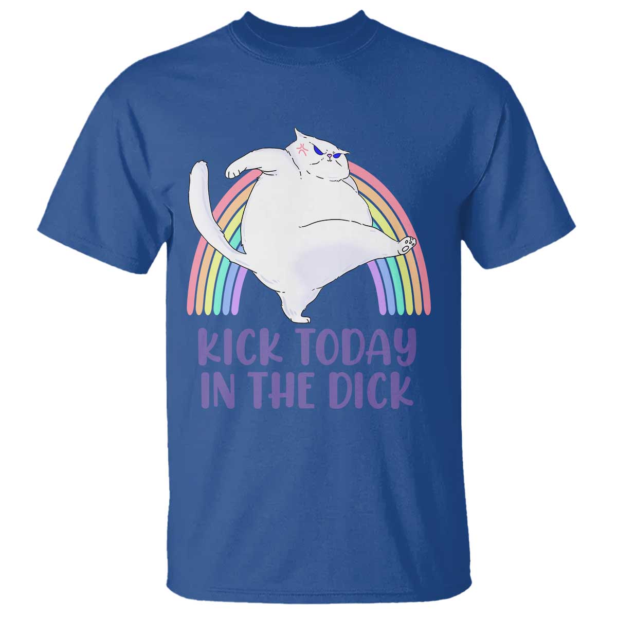 Funny Sarcastic Cat T Shirt Kick Today In The Dick Pastel Rainbow TS02 Royal Blue Print Your Wear