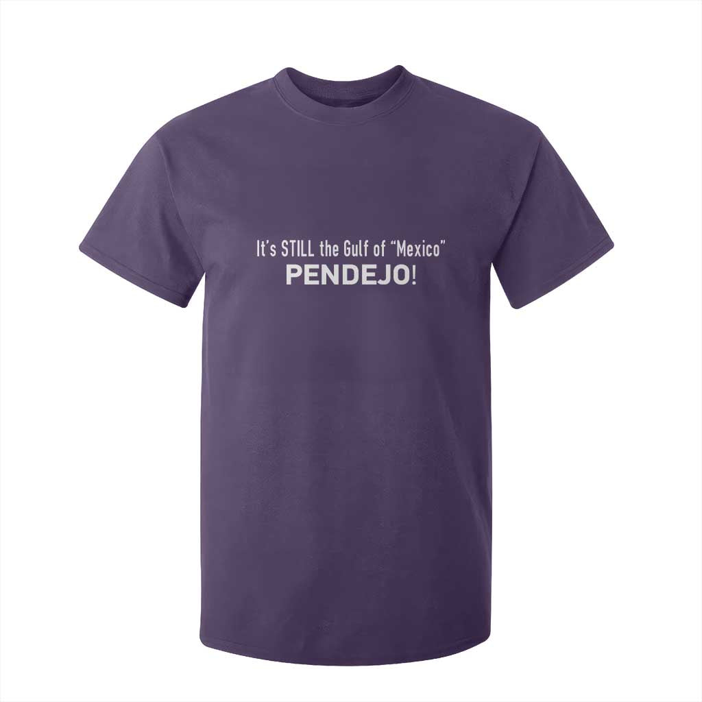It's Still The Gulf Of Mexico Pendejo T Shirt For Kid Golfo De Mexico TS02 Purple Print Your Wear