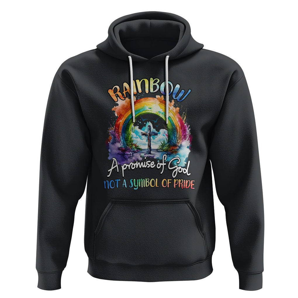 God's Promise Hoodie Rainbow A Promise Of God Not A Symbol Of Pride TS02 Black Printyourwear