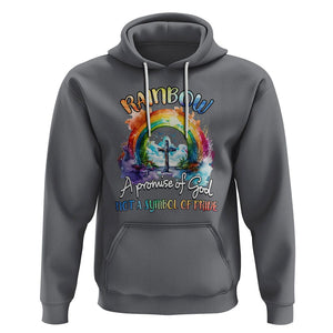 God's Promise Hoodie Rainbow A Promise Of God Not A Symbol Of Pride TS02 Charcoal Printyourwear