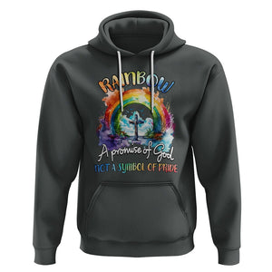 God's Promise Hoodie Rainbow A Promise Of God Not A Symbol Of Pride TS02 Dark Heather Printyourwear