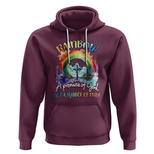 God's Promise Hoodie Rainbow A Promise Of God Not A Symbol Of Pride TS02 Maroon Printyourwear