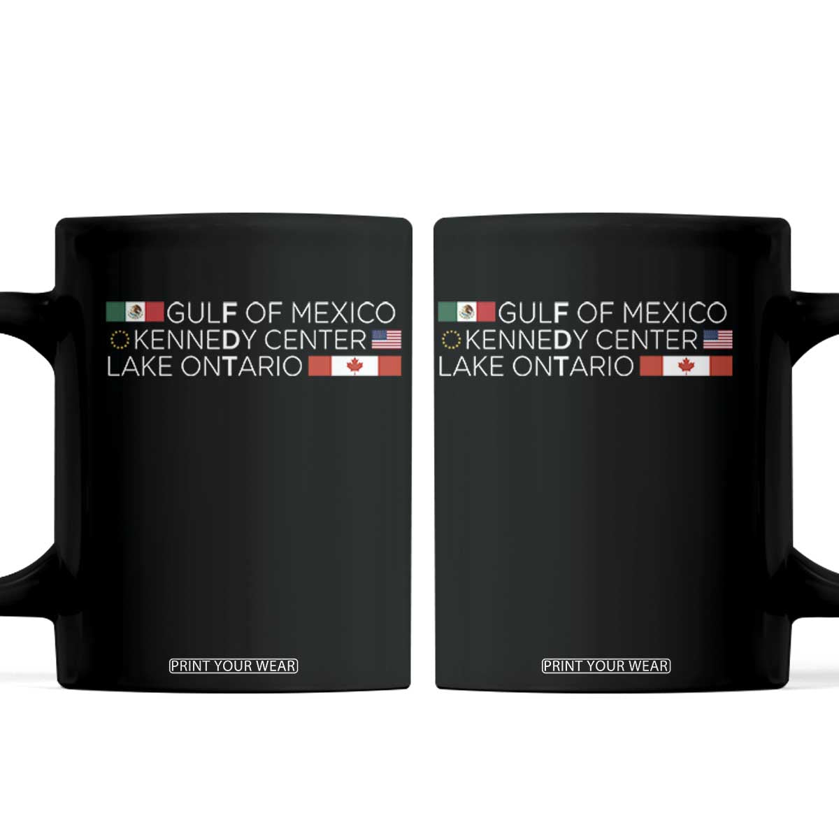 Gulf Of Mexico Kennedy Center Lake Ontario Subtle FDT Satire Coffee Mug Still and Forever Flags Statement