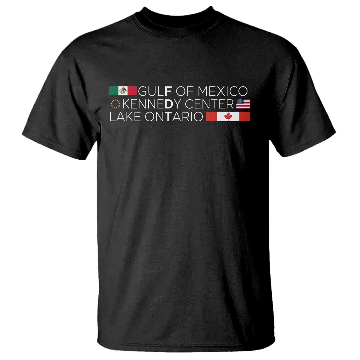 Gulf Of Mexico Kennedy Center Lake Ontario Subtle FDT Satire T Shirt Still and Forever Flags Statement