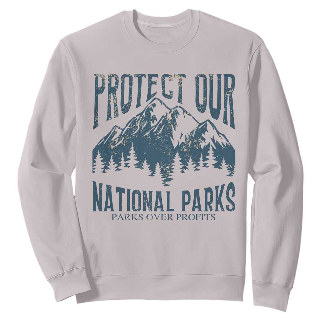 Protect Our National Parks Sweatshirt Retro Mountain Nature Graphic TS02 Ice Gray Print Your Wear